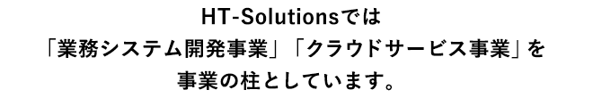 HT-Slutionsでは「業務システム開発事業」「クラウドサービス事業」を事業の柱としています。